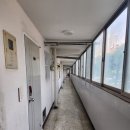 그린비치 이미지