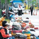 등산길 주변 산채정식 나물도 절반쯤은 중국산 이미지