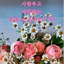 💐힘들때 힘이 나는 명언💐 이미지