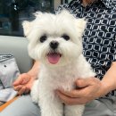 황금누리동물병원 이미지