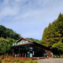 영천시농기계임대사업소 | 충북 옥천 대전 근교 갈만한곳 볼거리 국내 최대 메타세콰이어길 추천 [ 화인산림욕장 ] 입장료...