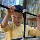 사천 케이블카 자연휴양림 이미지