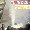 스팀보이게러지 이미지