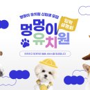 메리펫 애견유치원 이미지