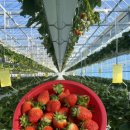 영원농장 이미지