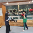 가은미트 이미지