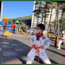 장평태권도 | 거제태권도 소나무향기 태권도장, 아이의 성장과 건강에 최적화된 곳!