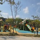 도안타워 이미지