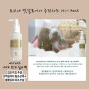 토브네 펫살롱 이미지