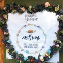 샌드블라썸 이미지