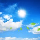 선우 태양광 이미지