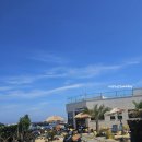 바당쿰다 이미지