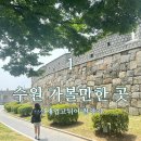 페리마노네일 | 수원 가볼만한곳선재업고튀어 촬영지 선재순례 다녀온 후기 주차 꿀팁