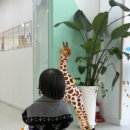 아홉가지약속당진치과의원 이미지