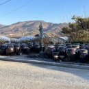 청원생명발효가공영농조합 이미지