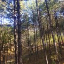 원주시건강문화센터 이미지