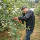 정일농장 이미지