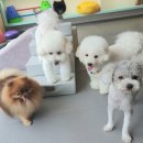 마인드몽 유치원 이미지
