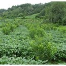 낙원농장3 이미지