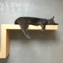 아람동물병원 이미지