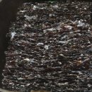 국민곱창 이미지