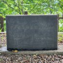 김유정 행장비 이미지