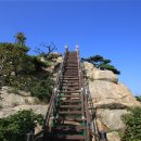 봉수산숲펜션 이미지