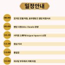 씨티투어여행사
