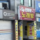 신바람노래방 | 광주 파충류샵 직접 분양도 가능한 어게인게코 파충류샵 방문