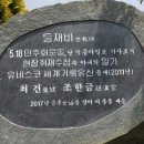 월출산 달빛 푸른집 이미지