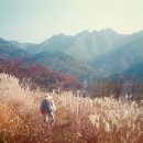 계룡산아래