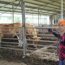 충만농장 이미지