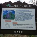 하늘아늘