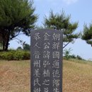 김지남 비갈 및 묘 이미지