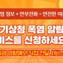 (주)메가스코리아 정책브리핑