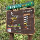 용궐산자연휴양림 이미지