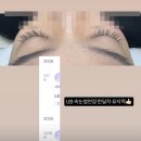 자연공간숨 | [길동역 속눈썹] 연장 잘하는 곳 자연스러운 속눈썹 유지력 후기 | 숨뷰티크