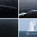 해일통신 이미지