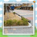 배곧한울초등학교 이미지