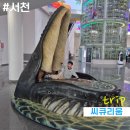 아이와 함께 서천1박2일 여행(4)_국립해양생물자원관 씨큐리움