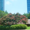 둔산 선사유적지 이미지