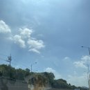 (주)홍탕 이미지