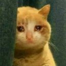 케이마트 호평 | D+26-29 안녕? 나는 쓸애기야ㅏ