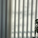 주공4차 | 속초 조양동 주공4차 인테리어 사장님도 소개한 조양동속초커튼에서 시공받았어요