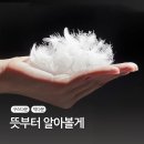 덕다운 구스다운 뜻 차이점 뭘 사는게 좋을까 딱 정해드림