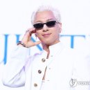 태양 스포츠경향