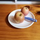 미숭산자연휴양림 | 고령 미숭산자연휴양림 편백의집2