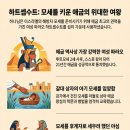 하트셉수트 : 모세의 양 어머니? 이미지