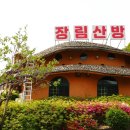 단양로 | 장림산방, 단양 마늘석갈비 맛집 후기