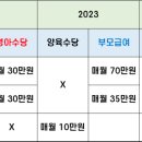 2023년 부모급여 - 2022년 아동수당 영아수당 차이점 뜻 이미지